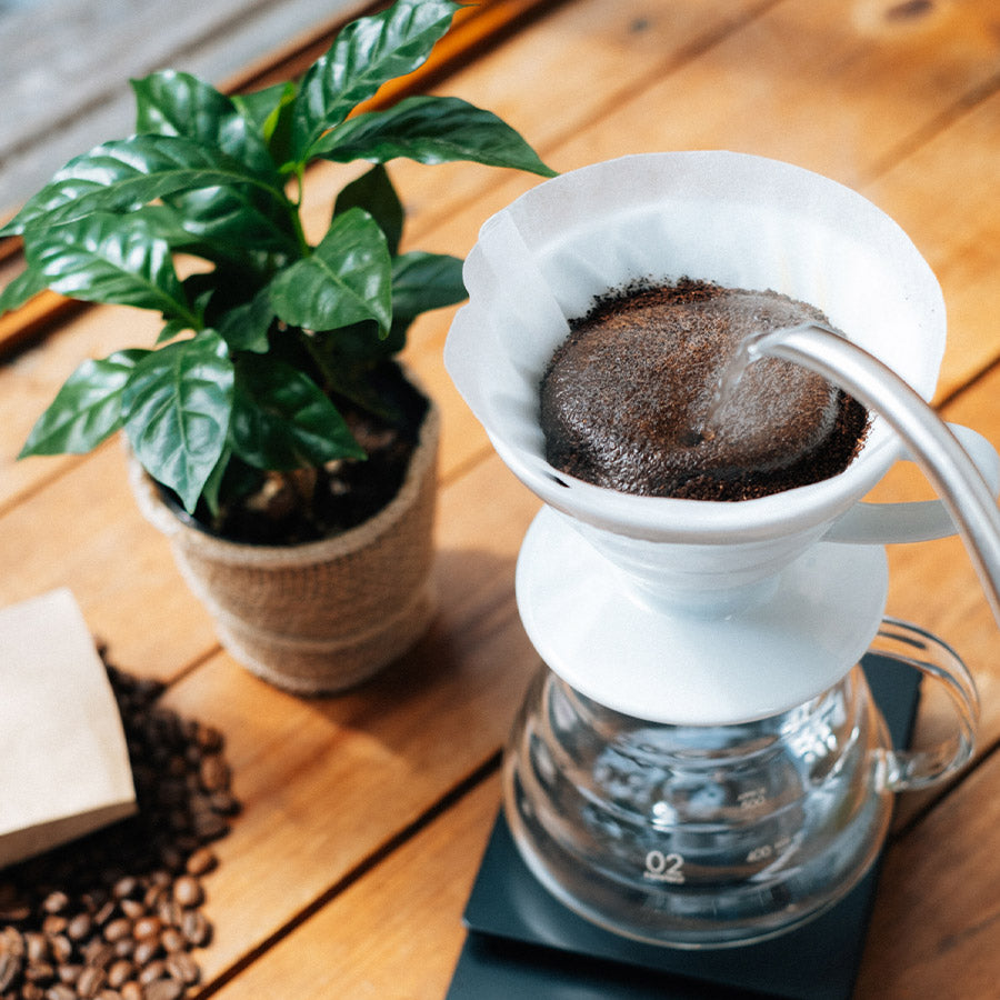 HARIO v60 Filter Kaffee Dripper - Präzisionsdesign für handgebrühten Kaffee
