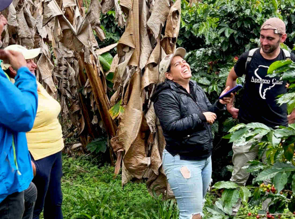 Kolumbianische Kaffeeplantage und Spaß bei der Ernte von Kaffee