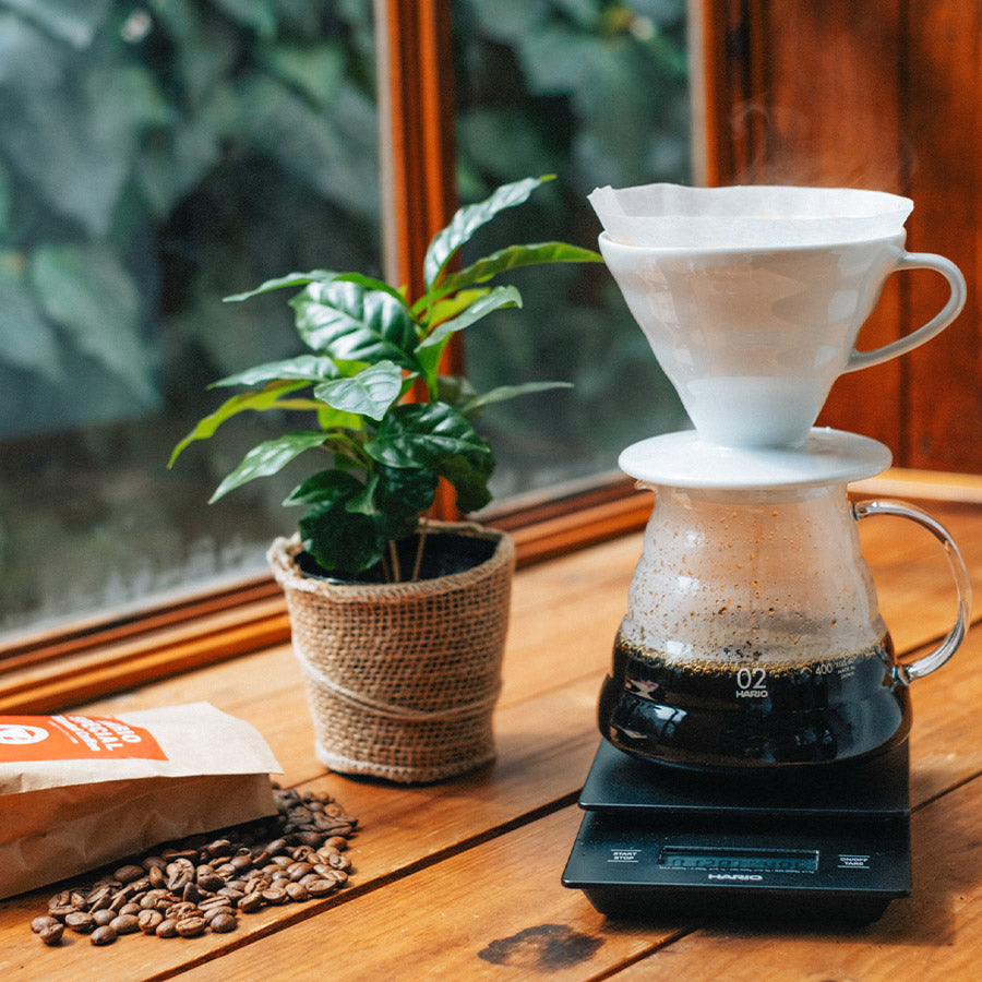 
                  
                    Präzisionsbrühen leicht gemacht - HARIO v60 Porzellan Kaffee Dripper für Experten
                  
                