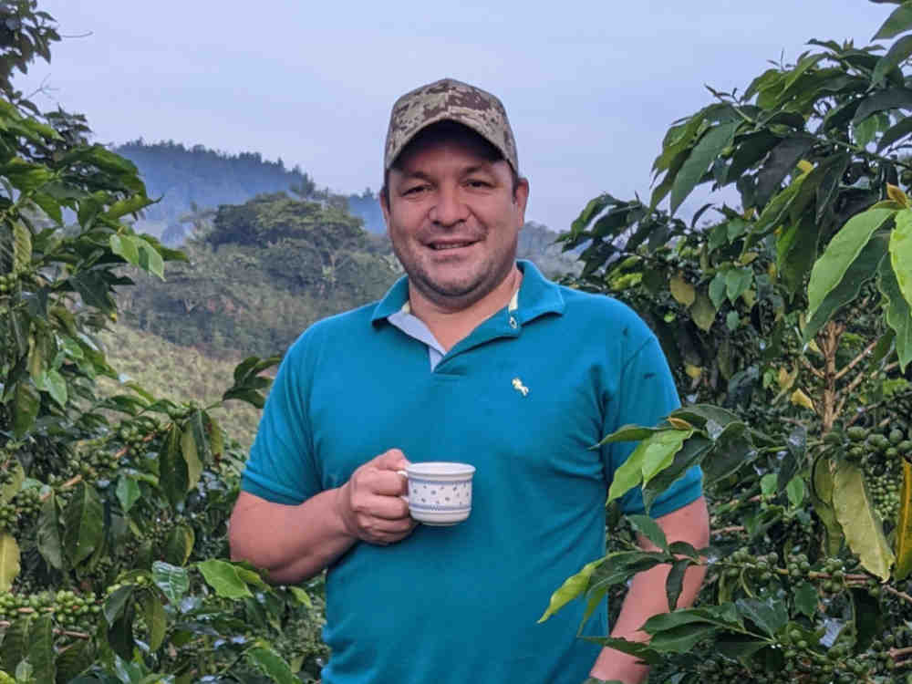 Wilder Lazo Farmer von der El Diviso Farm in Huila, Kolumbien, kümmert sich liebevoll um seine Kaffeepflanzen, um höchste Qualität zu gewährleisten
