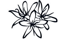 Blütenlogo von Apogeo Café, für faireren kolumbianischen Kaffee online kaufen